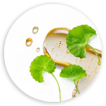Komplex Water-soluble Total Triterpenes